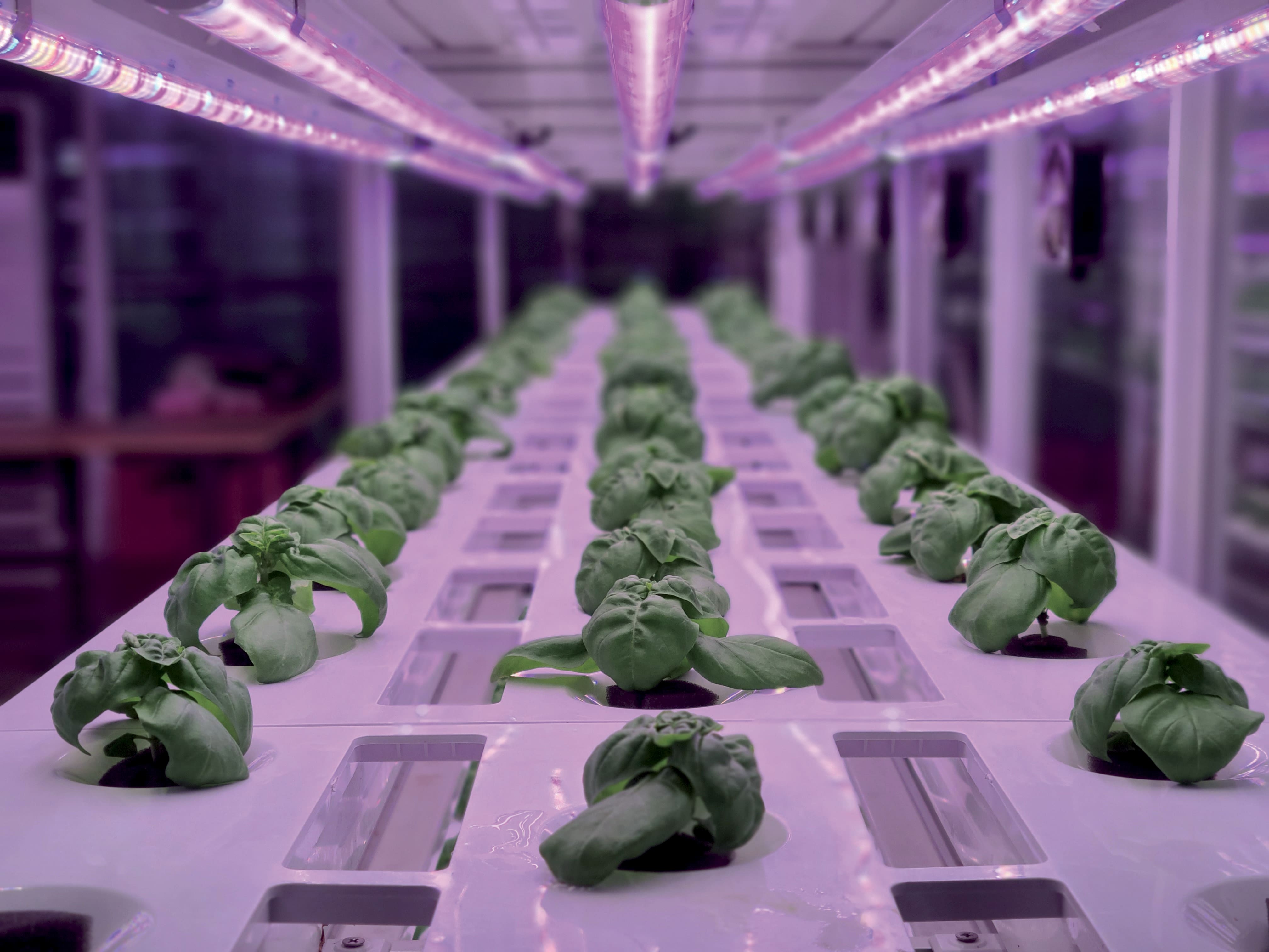 Erfahren Sie Mehr Ber Unseren Ansatz Unter Vertical Farming Voltz