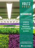 microgreens