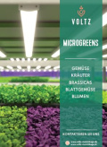 microgreens
