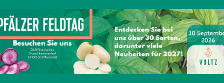 Pfalz