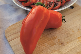 Peppino