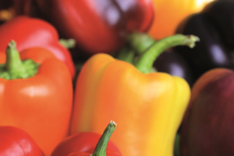 Paprika