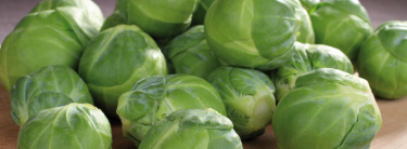 Kohl